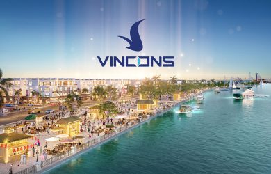 Vincons Vinhomes Apollo City